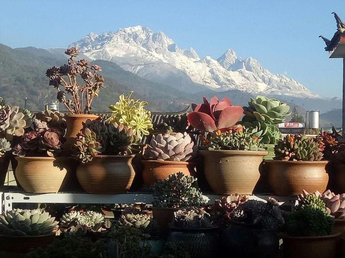 Three Wells Inn Lijiang  Buitenkant foto